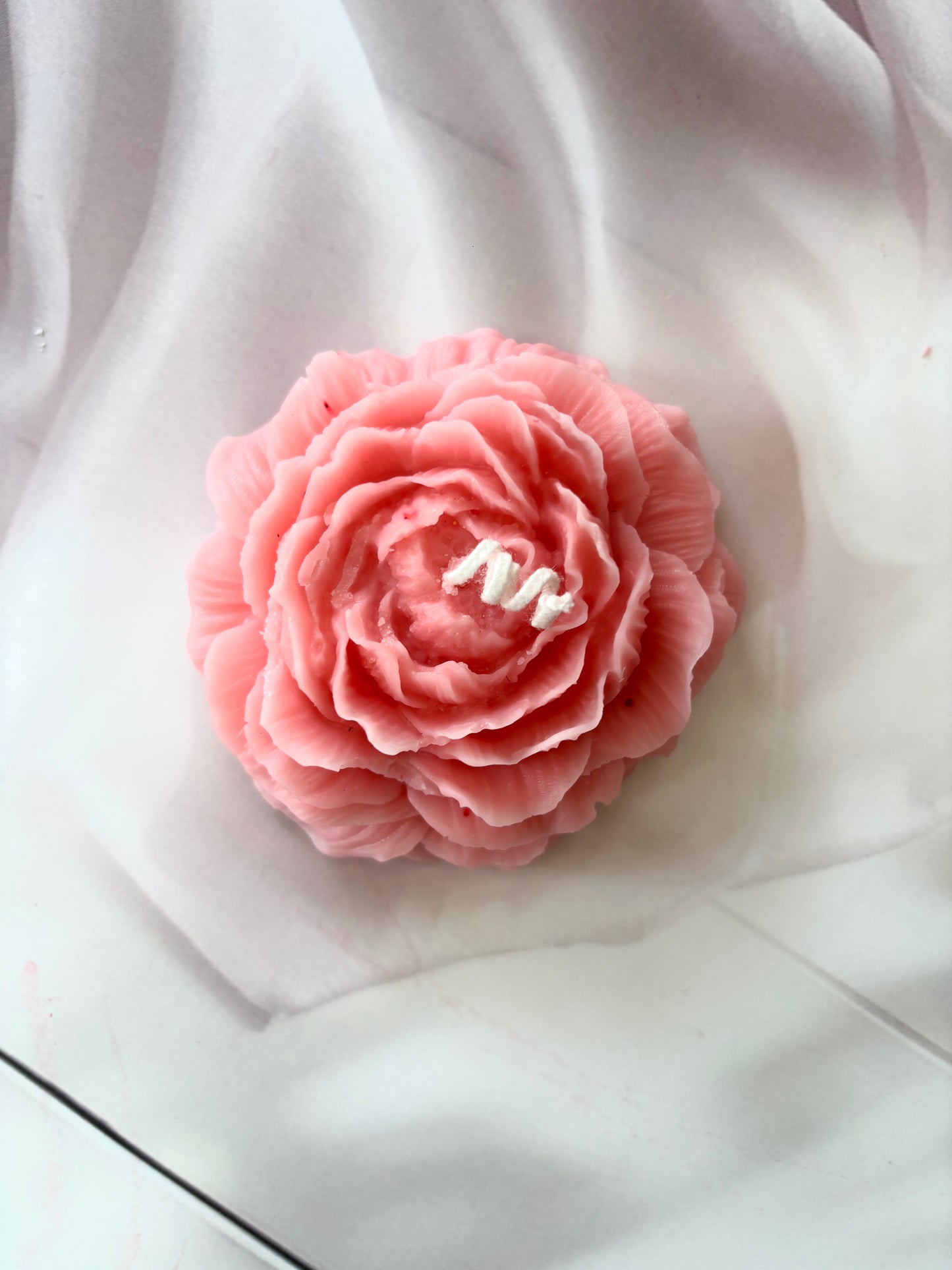 Petals of Peony