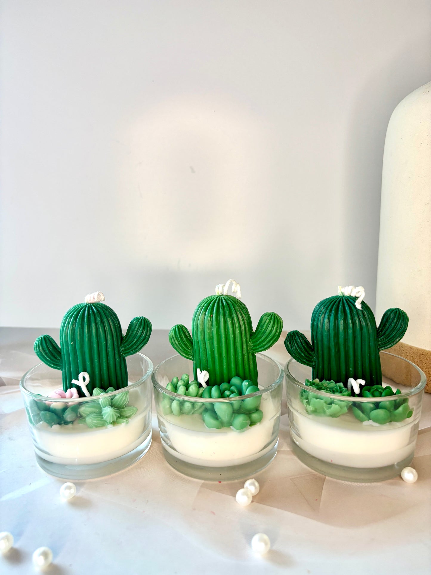 Cactus Garden Glow-Mini