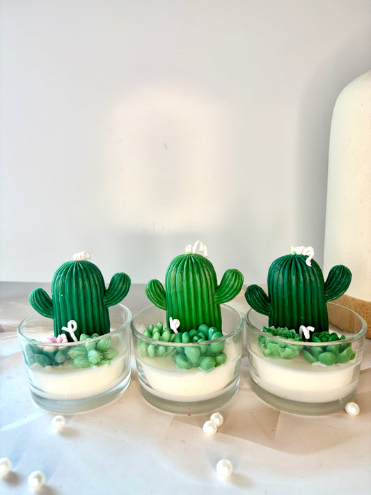 Cactus Garden Glow-Mini