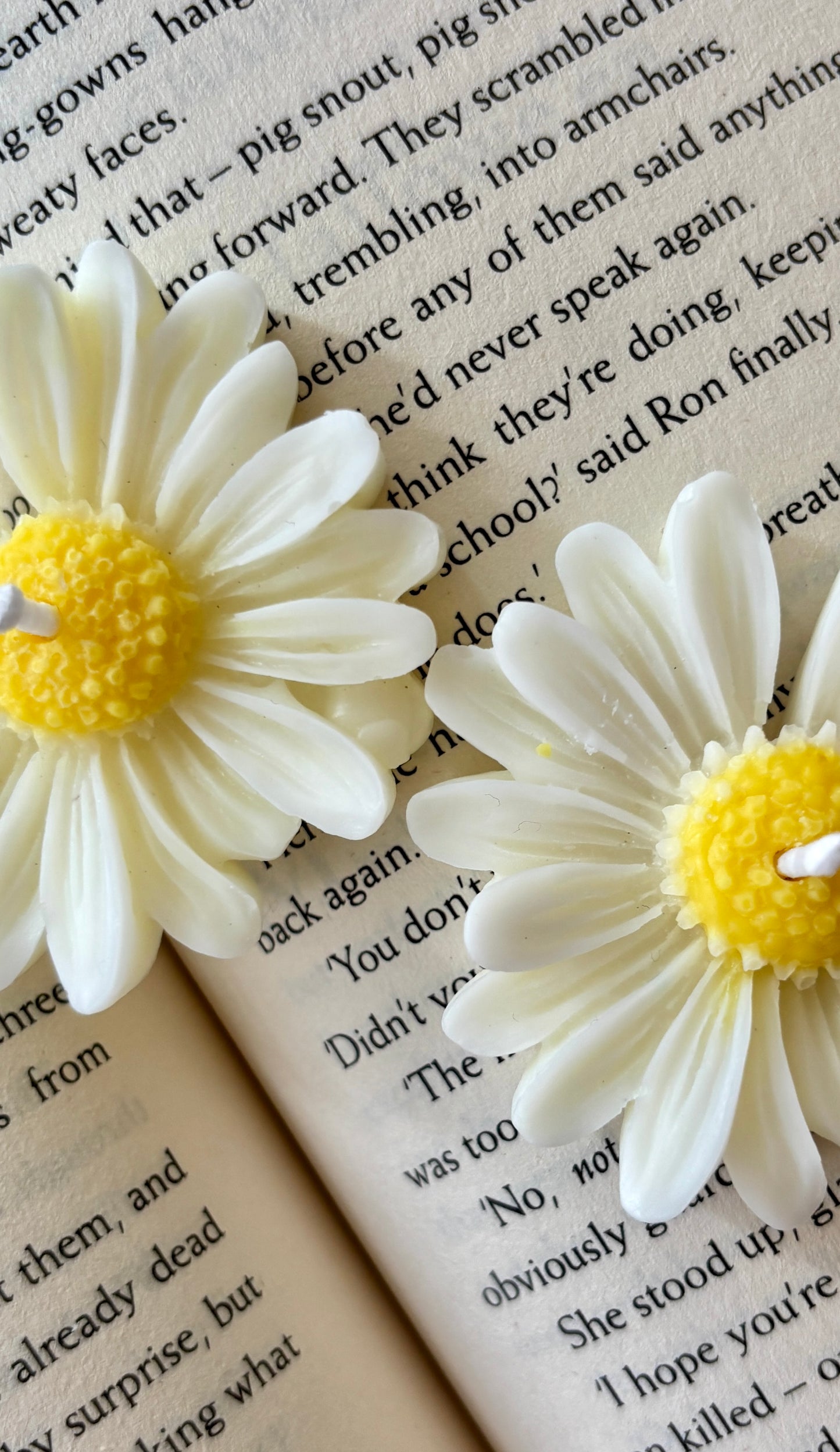 Daisy Lumiere