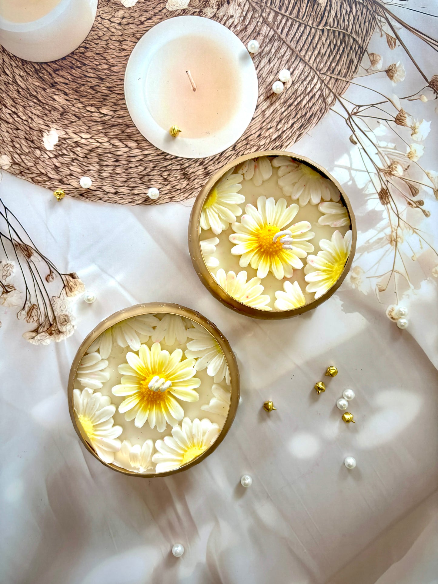 Golden Daisy Bloom